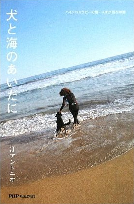 “J”アントニオ – 犬と海のあいだに