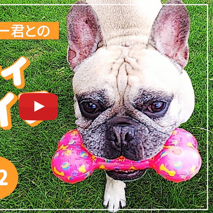 SAKURAのYoutubeチャンネル – #18 愛犬キンちゃんとパウダー君とのビューティペットライフ #2