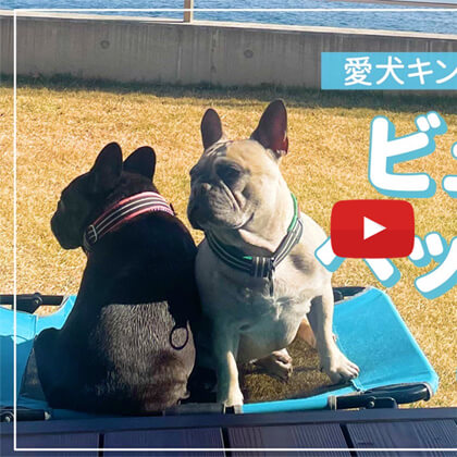 SAKURAのYoutubeチャンネル – #23 愛犬キンちゃんとパウダー君とのビューティペットライフ #3